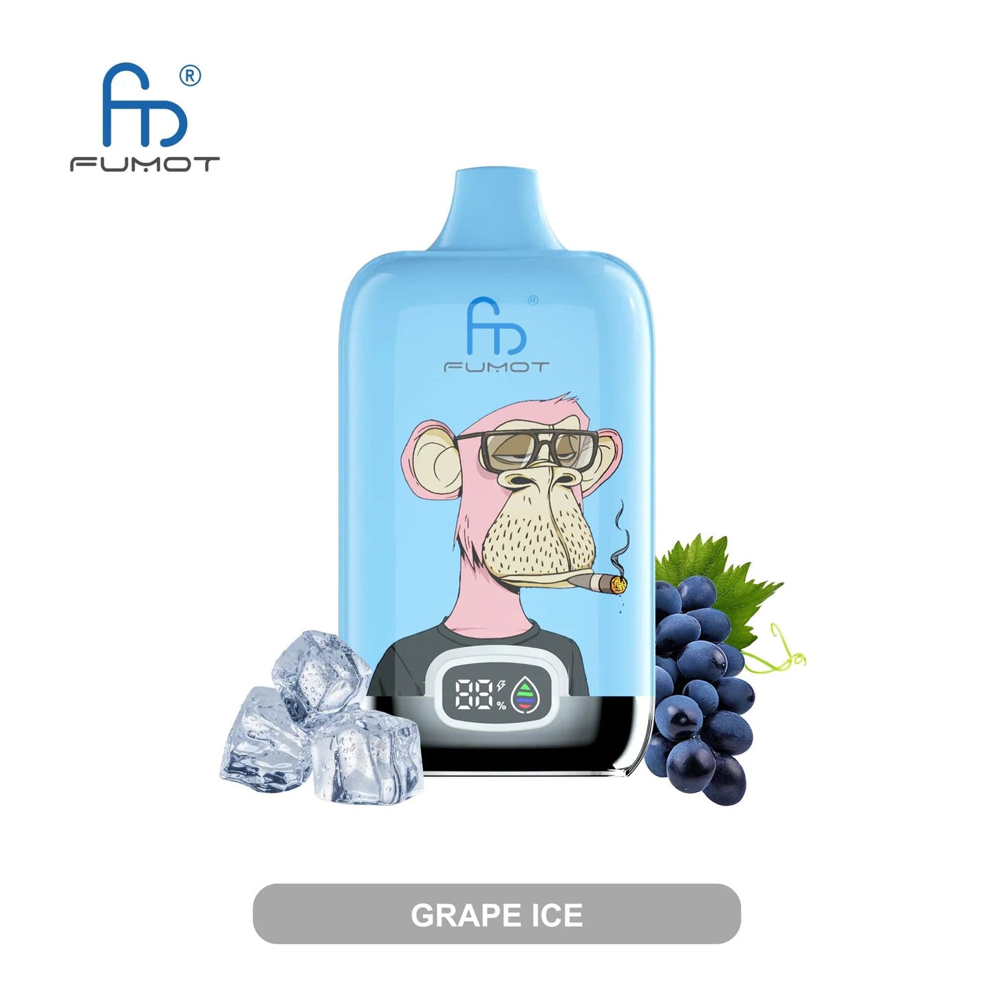 RandM Tornado 12000 Vapes GRAPE ICE