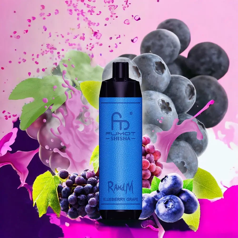 RandM-Shisha-Vape-10000-blueberryy_grape