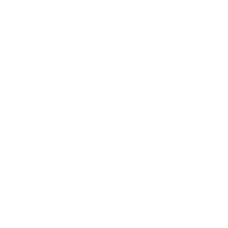 fast forward icon